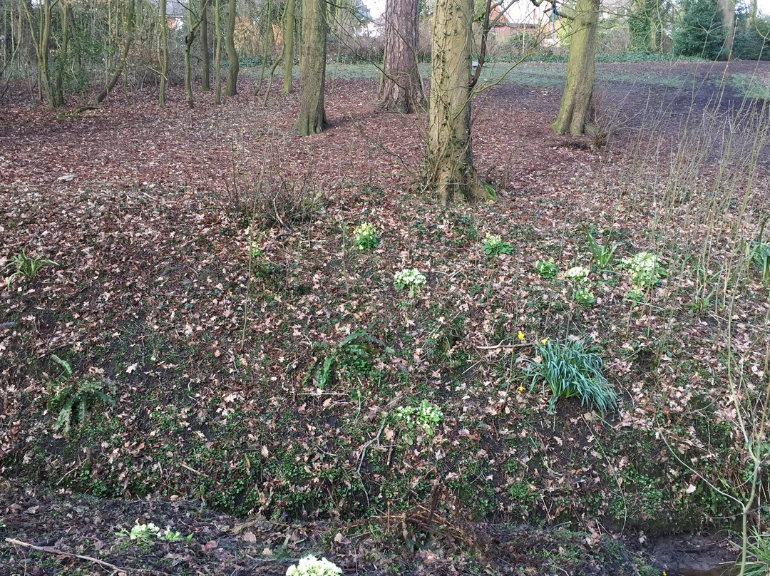 Hurst Grange Park景点图片