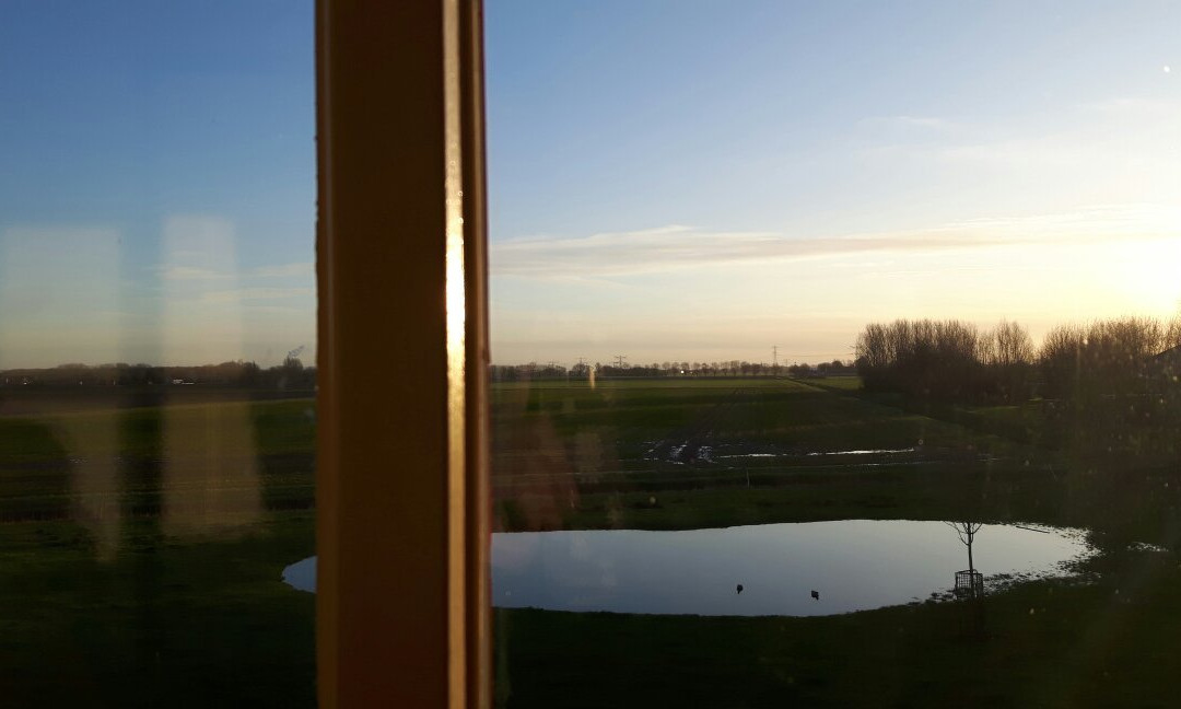 In De Polder