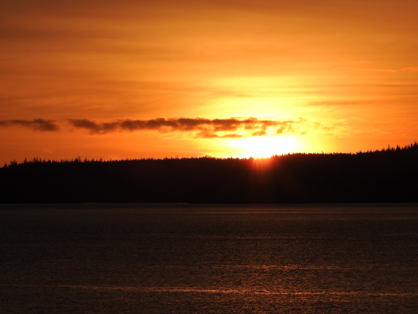 Jags Beanstalk-浴室