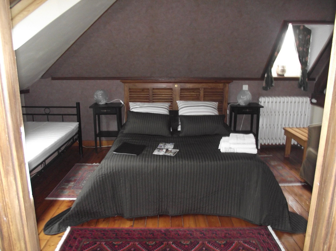 La Dorlotine chambres d'hotes centre ville Soissons主图