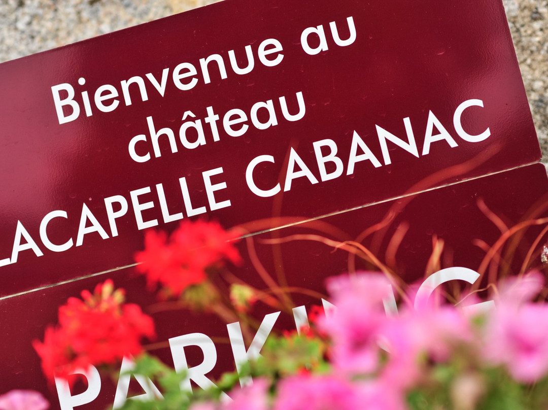 Château Lacapelle Cabanac景点图片