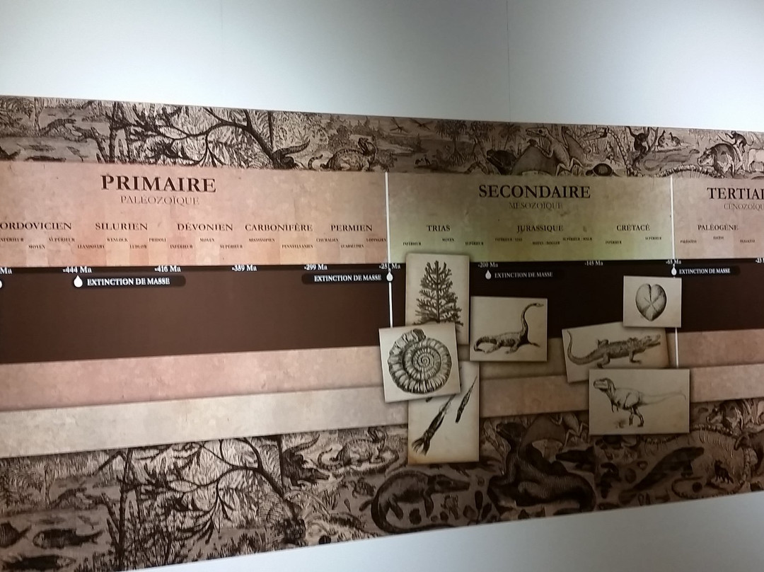 Musee Borda, Chapelle des Carmes景点图片