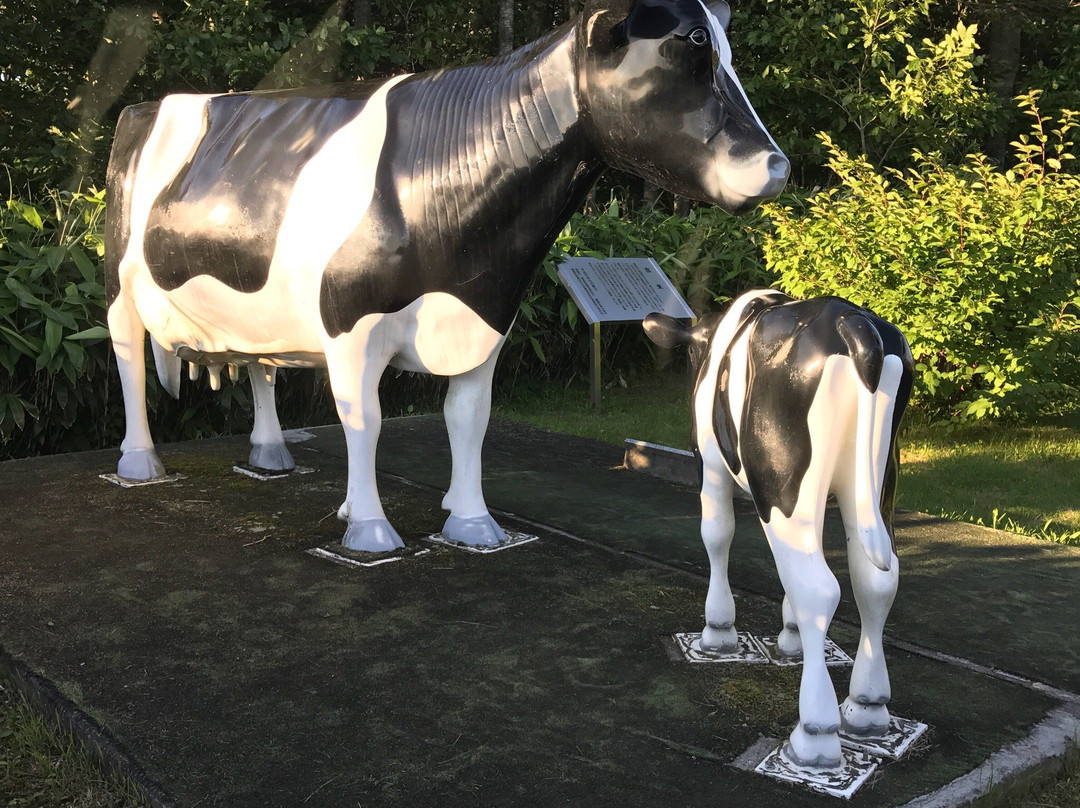 Miyanodai Observation Tower-丰富町必去景点