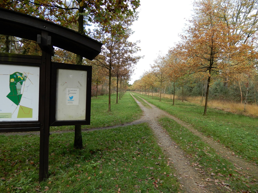 Domein de Renesse-Oostmalle必去景点