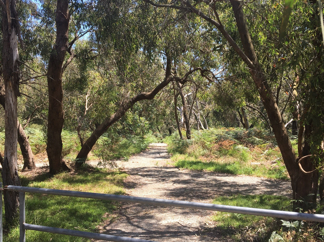 Colley st Bushland Reserve景点图片