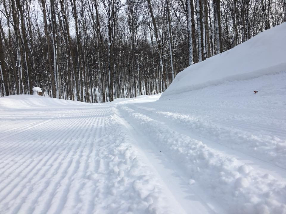 Hardwood Ski and Bike景点图片