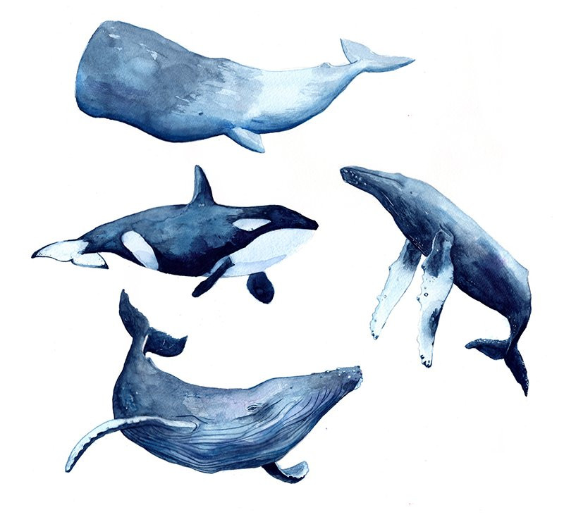 Paper & Brush Studio-阿姆斯特丹必去景点