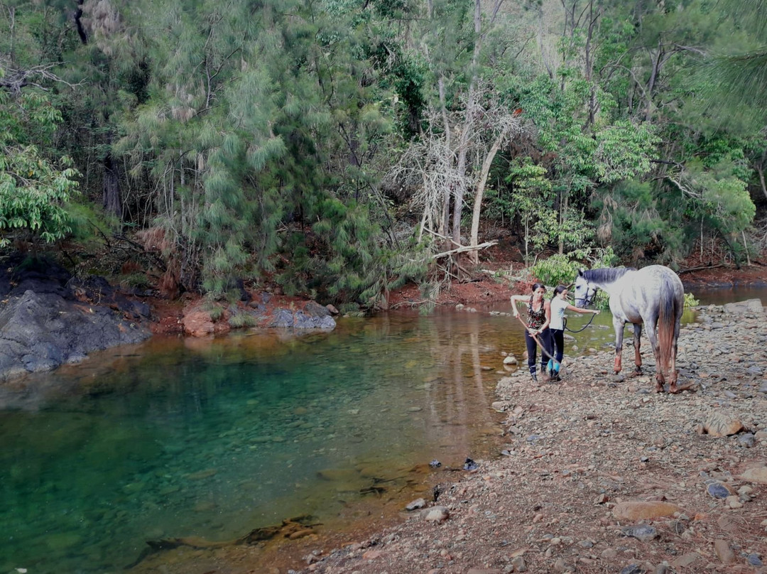 Yala Ranch-Dumbea必去景点