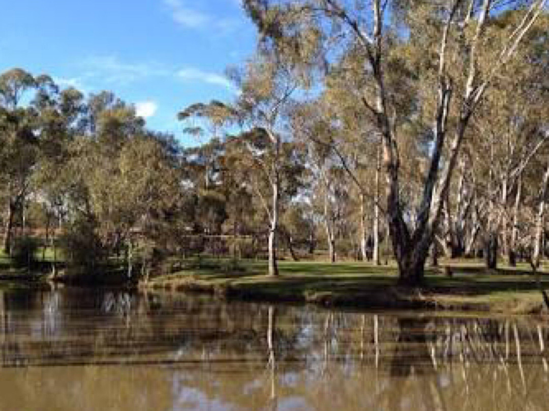Kangaroo Flat旅游攻略图片