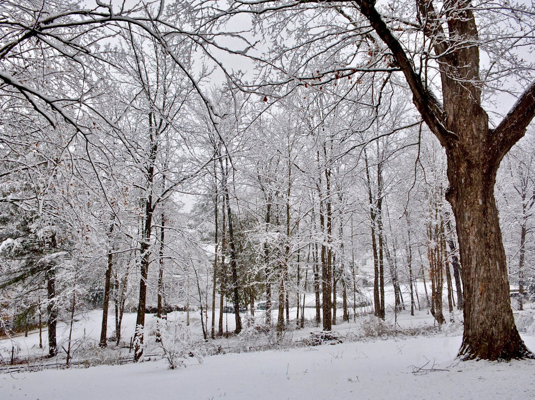 Blackinton Manor Bed & Breakfast主图