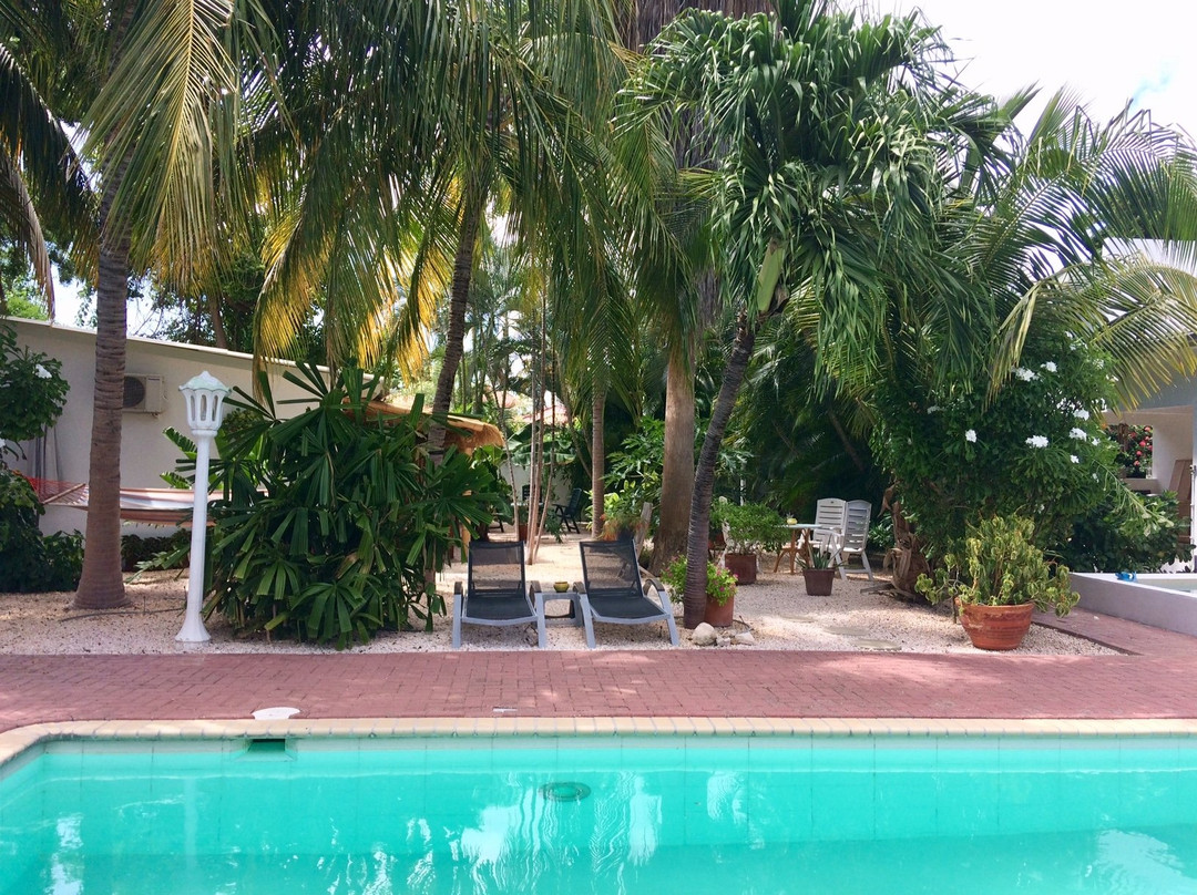 B&B Sombre di Kabana主图