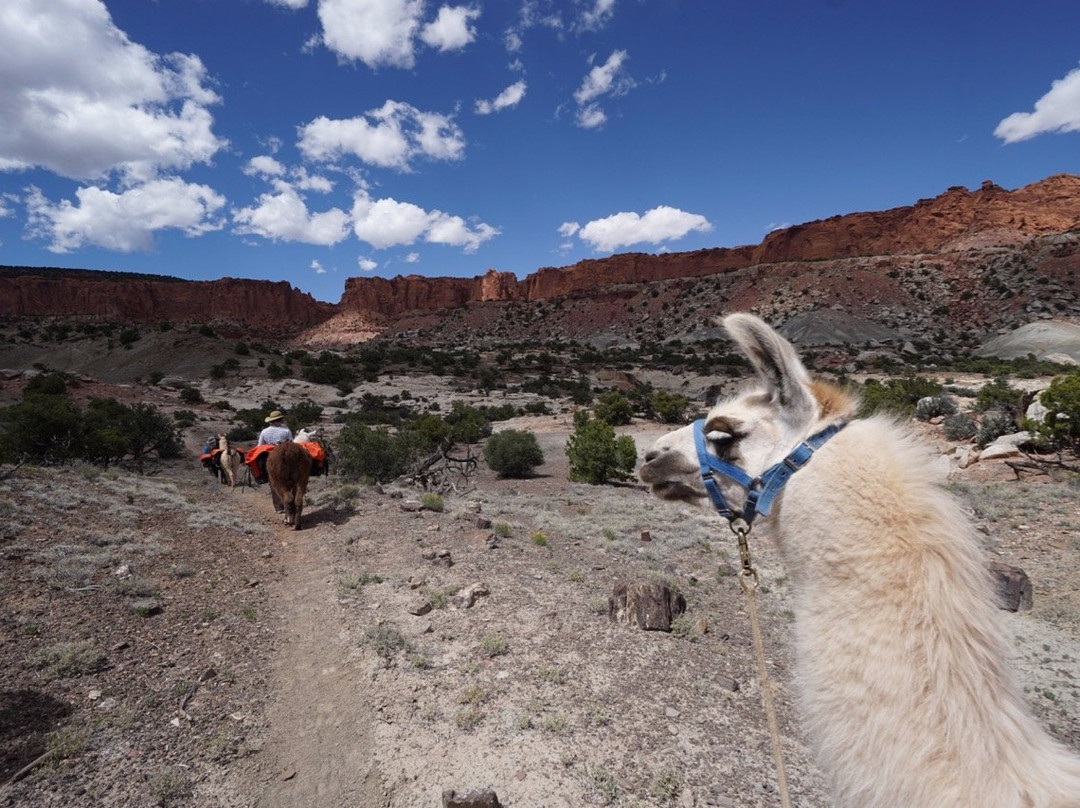 Wilderness Ridge Adventures-托里必去景点