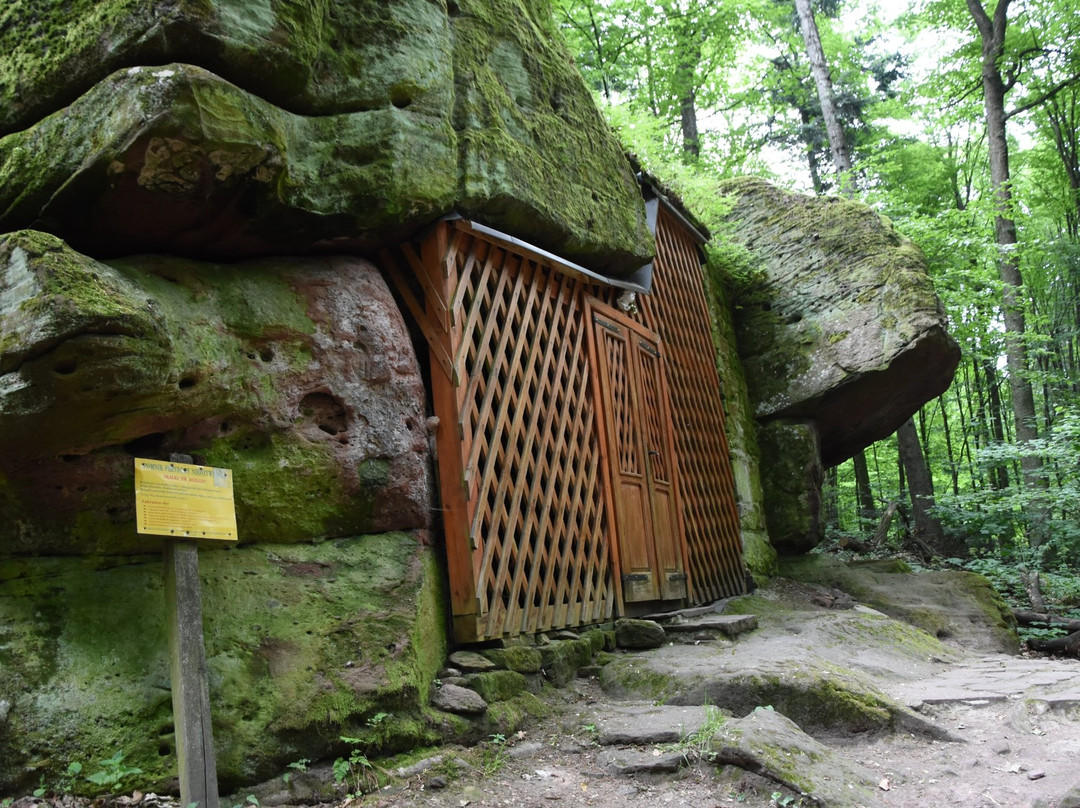 "Perzowa Gora" nature reserve景点图片