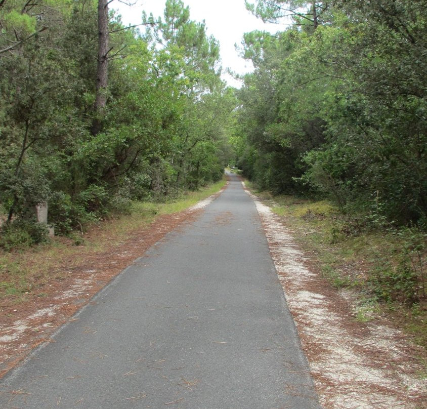 Pistes Cyclables en Gironde景点图片