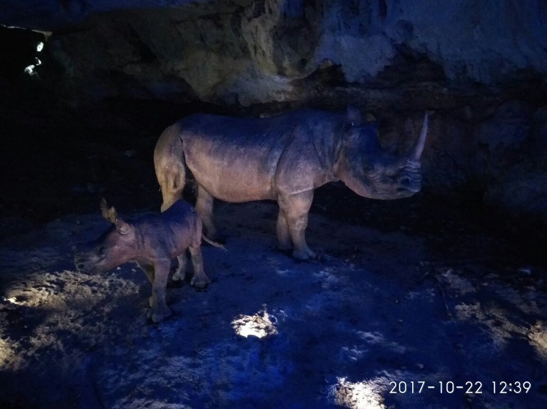 Cueva de La Peruyal-Avin必去景点