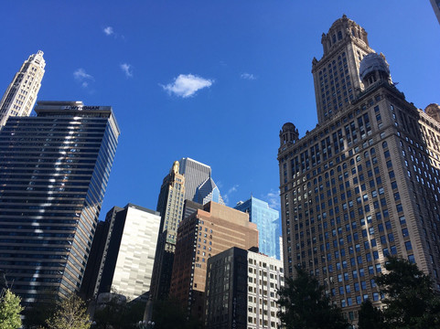 Chicago from the Lake Ltd-芝加哥必去景点