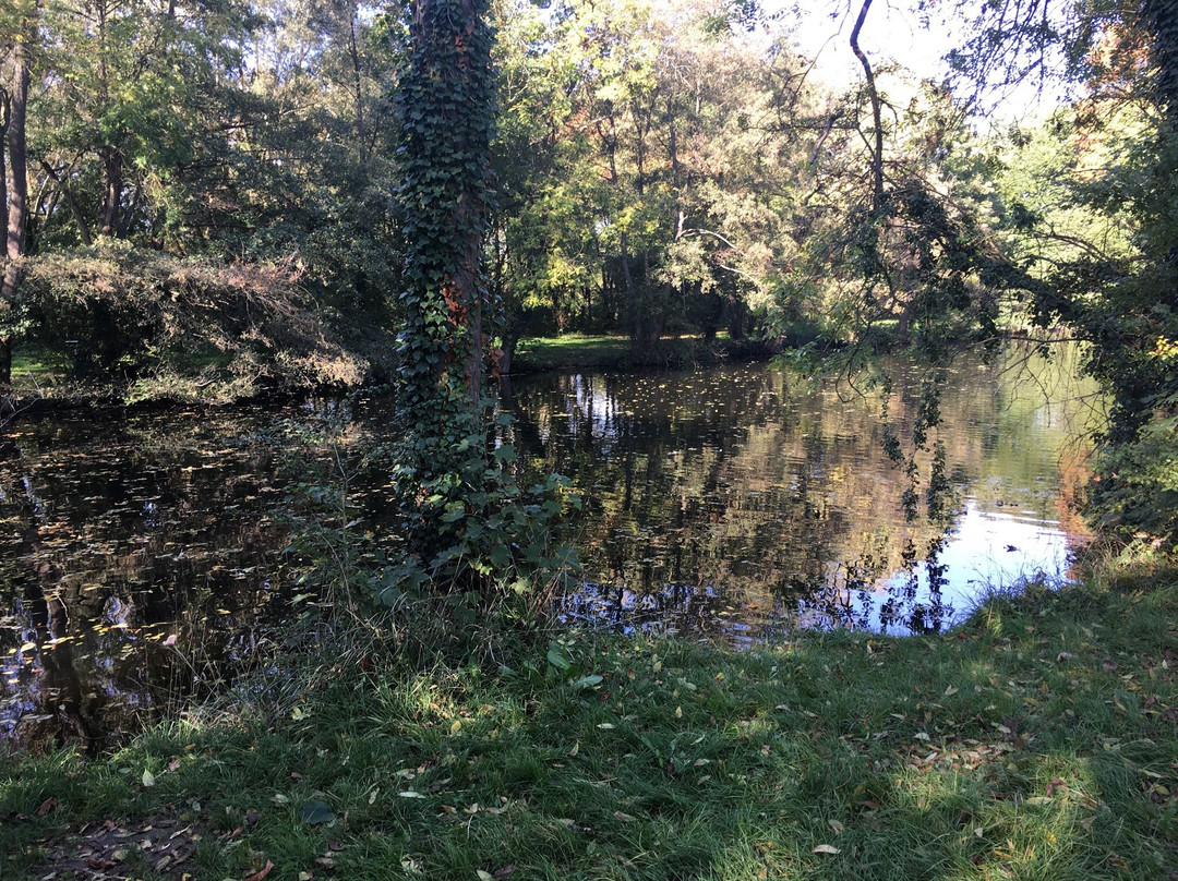 Parc du Château景点图片