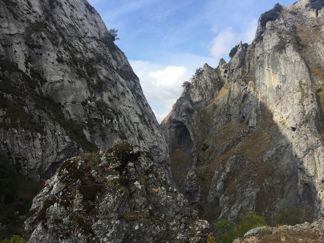 Cinera旅游攻略图片