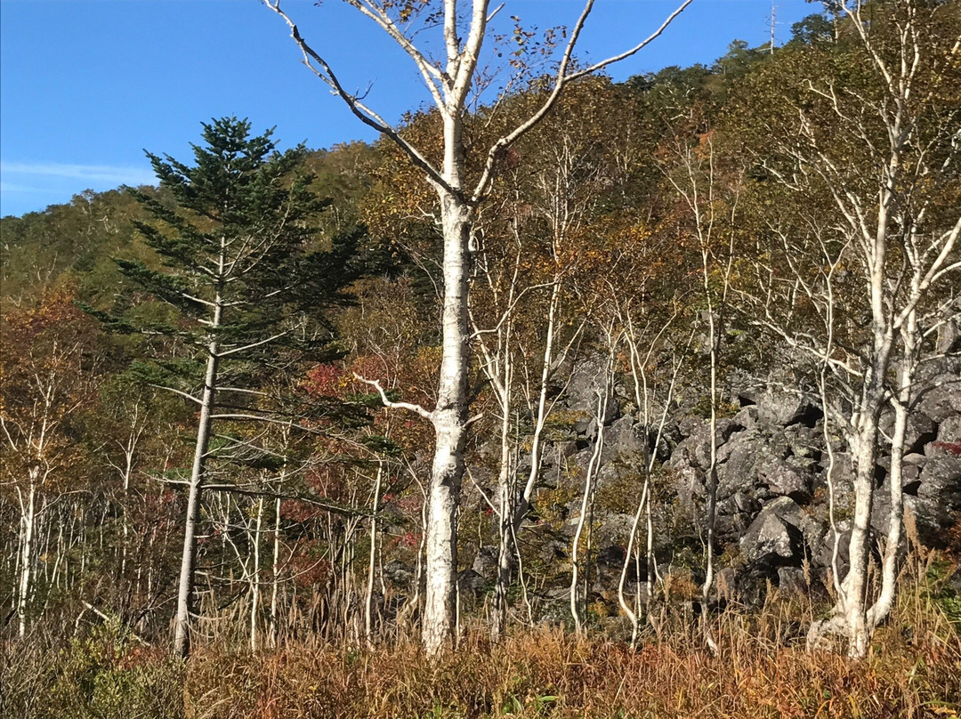 Senjokuzure-鹿追町必去景点
