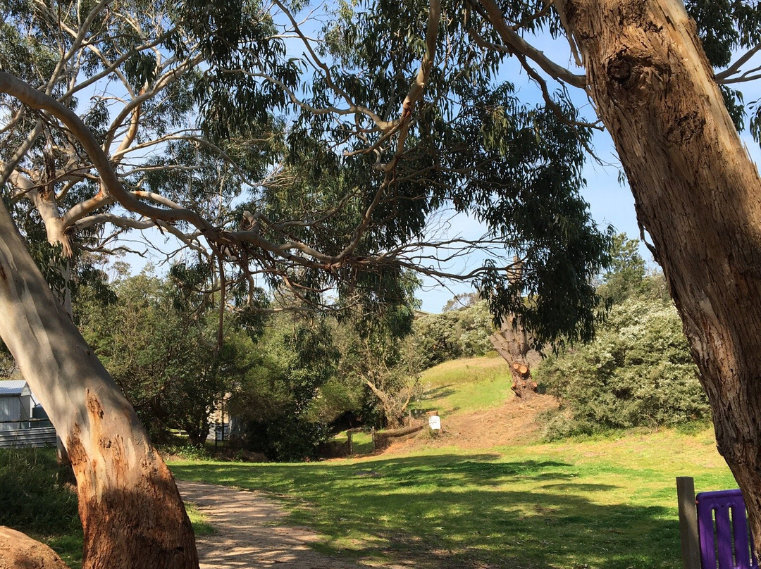 Jupiter Boulevard Playground-Venus Bay必去景点