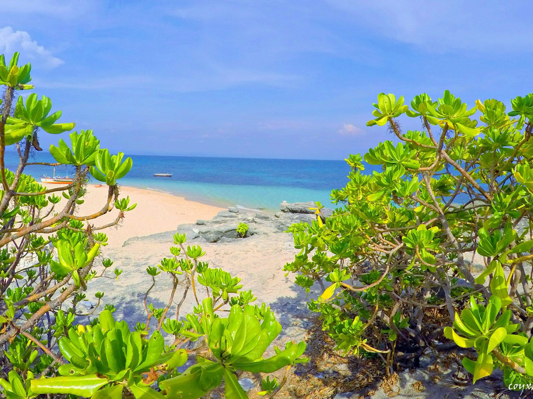 Culebra Island-Dasol必去景点