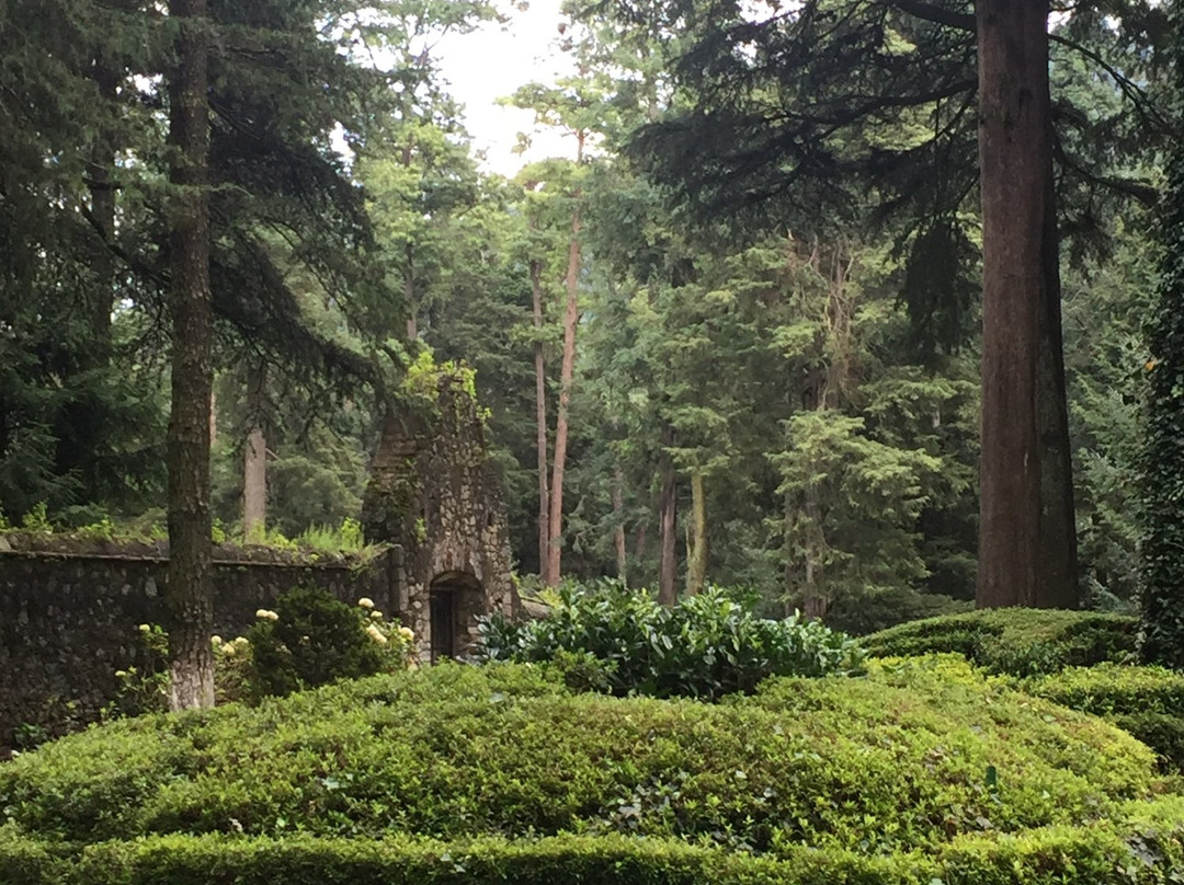 Ex Convento Desierto de los Leones-墨西哥城必去景点