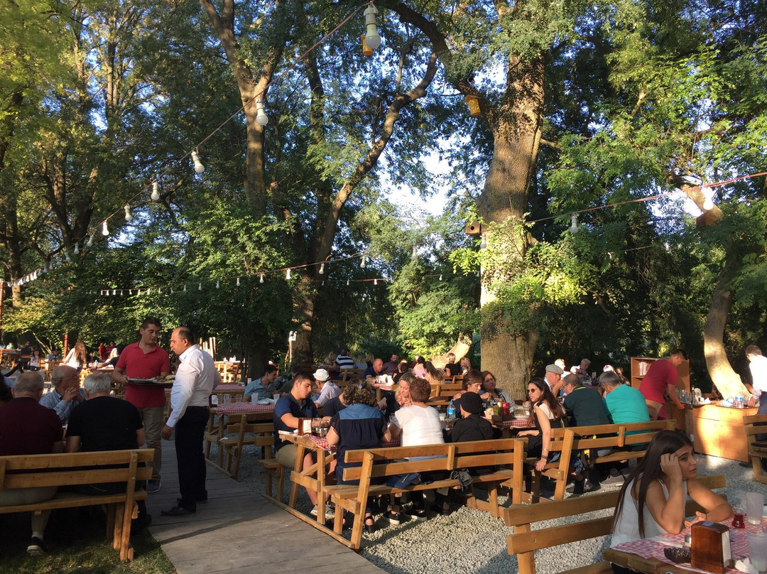 Vize餐馆和美食-Doganin Bahcesi