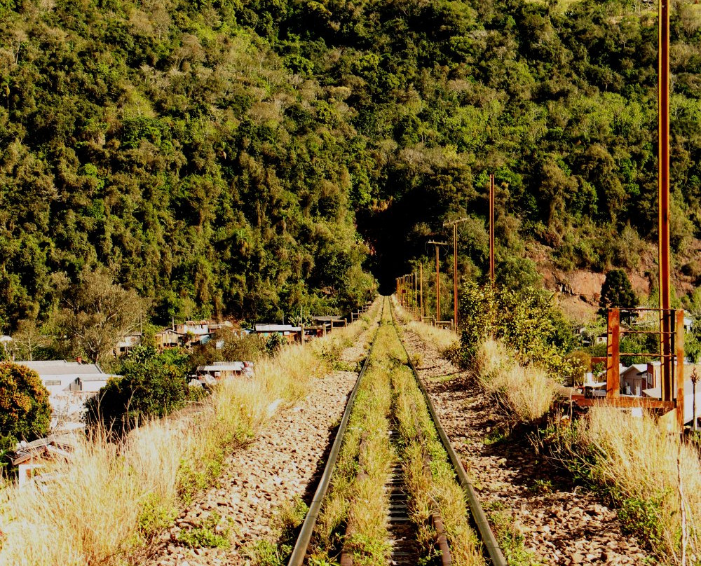 Ponte Rodoferroviária Brochado da Rocha-Mucum必去景点