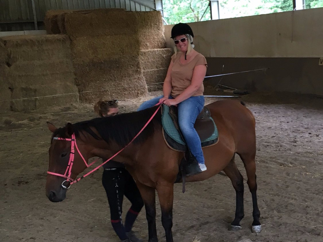 Centre Equestre La Champagne景点图片