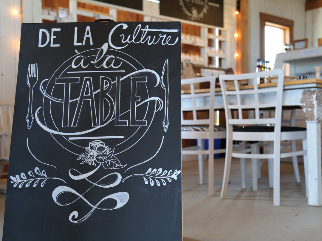 Passion Lavande-Saint-Severe必去景点