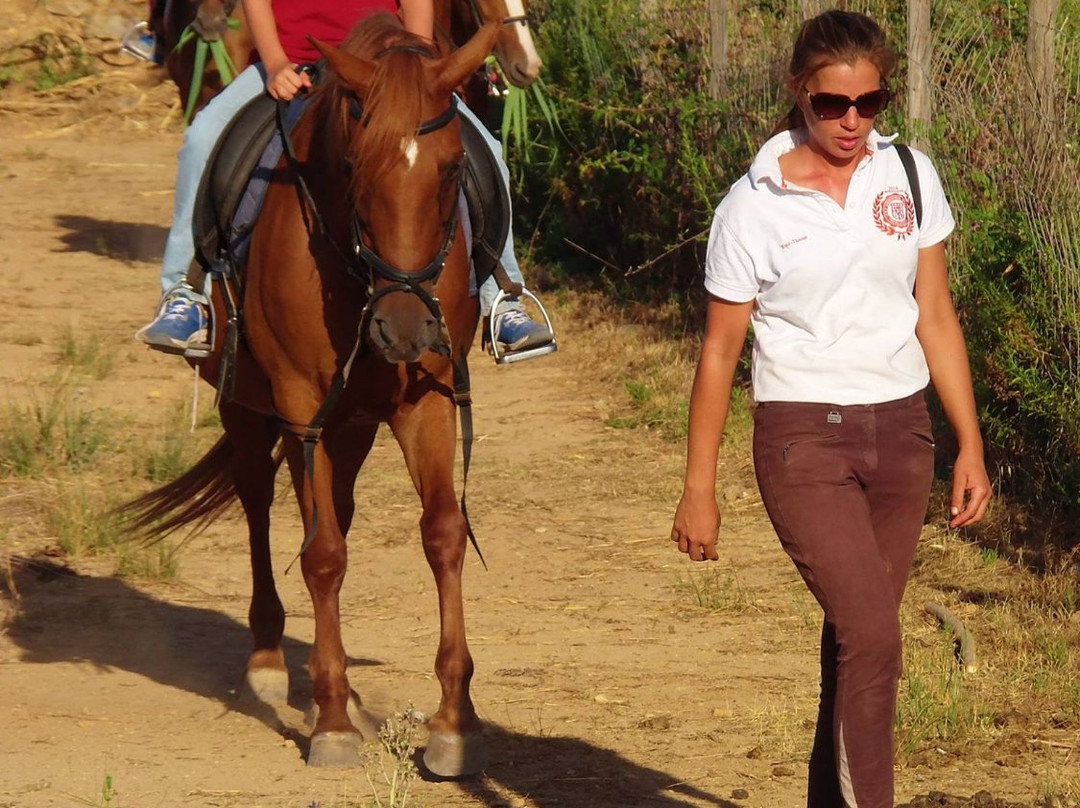 Tavira Horse Riding Quinta Beldade Stables-塔维拉必去景点