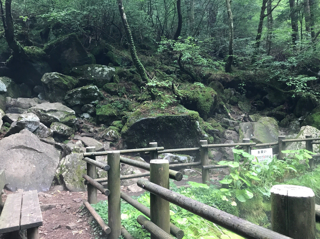 Kazaana - Kamihayashi Forest Park-东温市必去景点