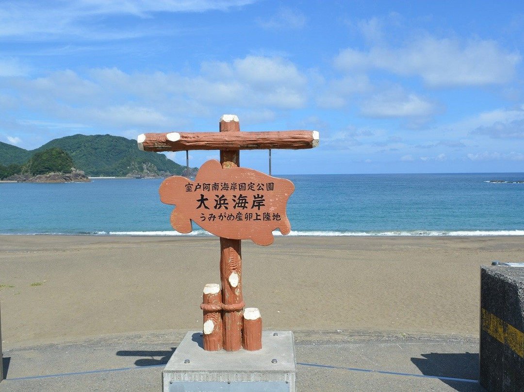 Ohama Coast-美波町必去景点