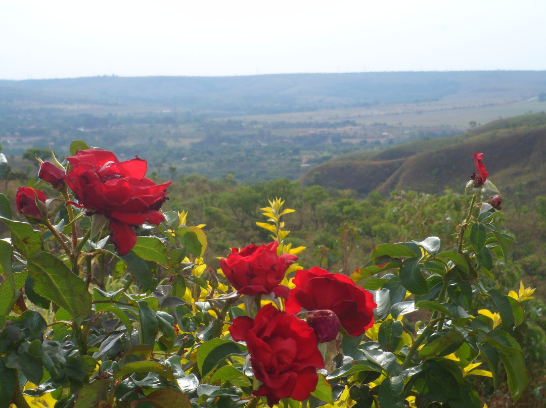 Capela São Francisco de Assis-Gama必去景点