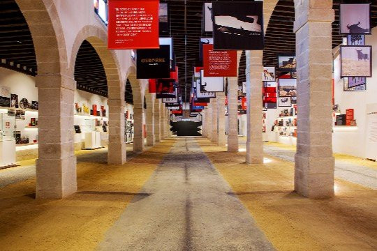 Toro Gallery景点图片