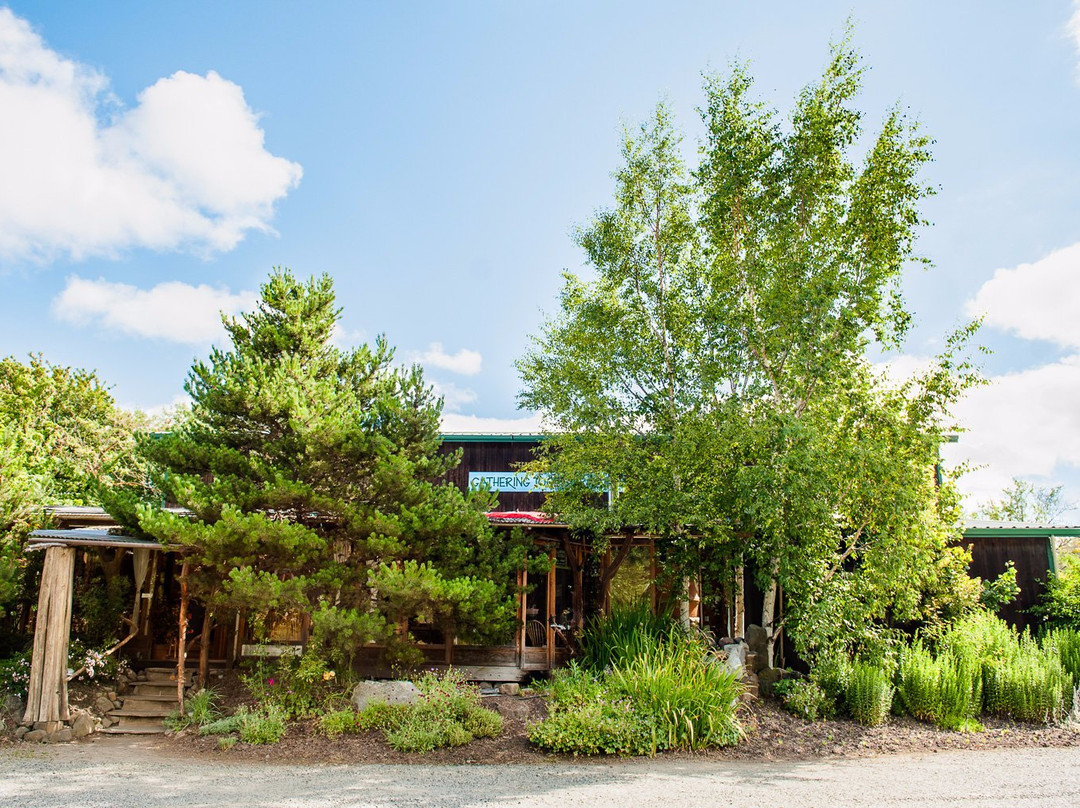 Alsea餐馆和美食-Gathering Together Farm