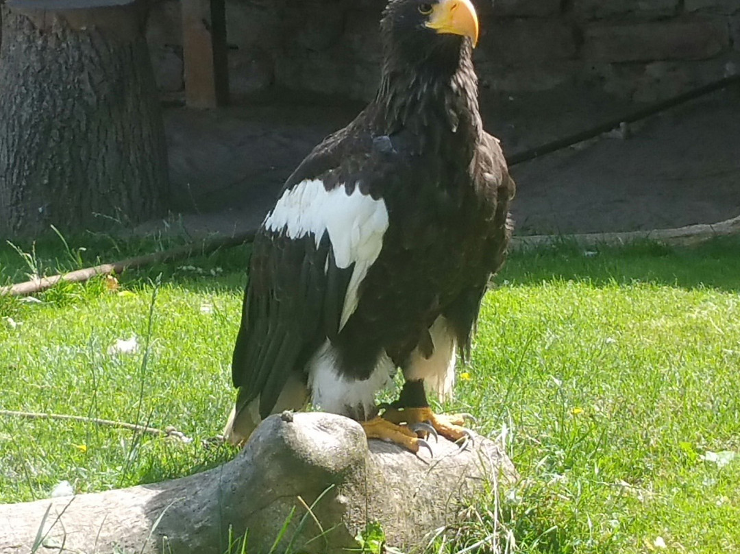 Adler- und Falkenhof-Kranichfeld必去景点