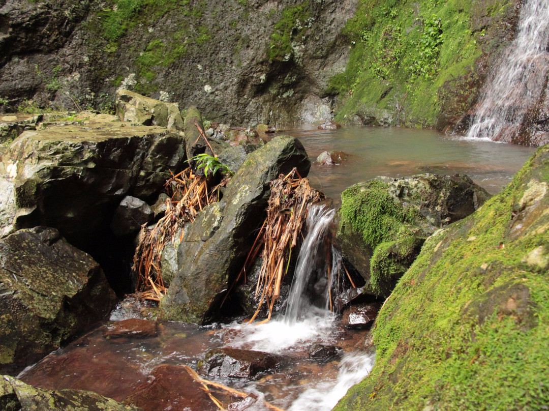 Sao Francisco de Paula旅游景点-Reserva Ecologica Terra do Sempre