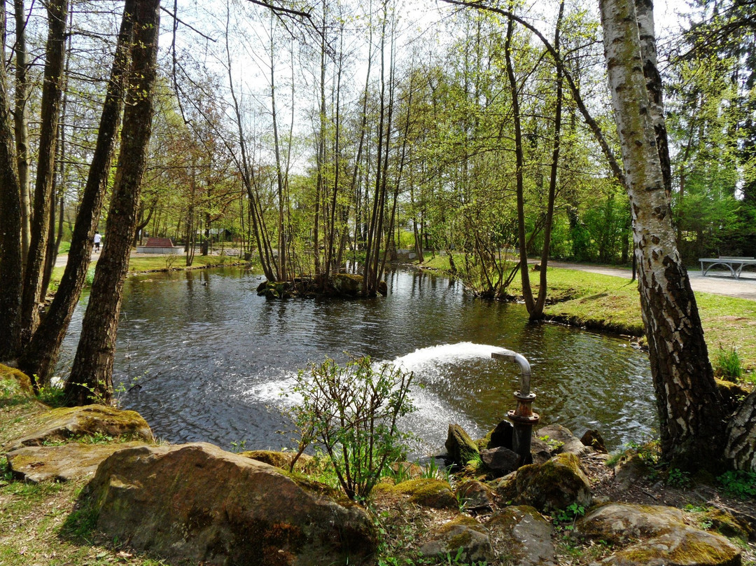 Naherholungsgebiet Busenwiesen - Weilerbach Park景点图片