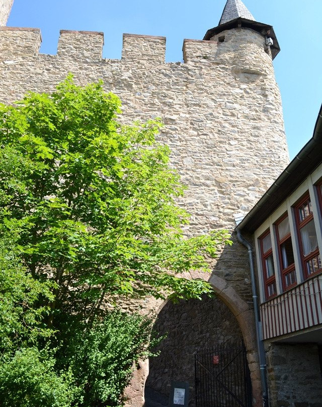 Hinterland Castle Museum Biedenkopf景点图片