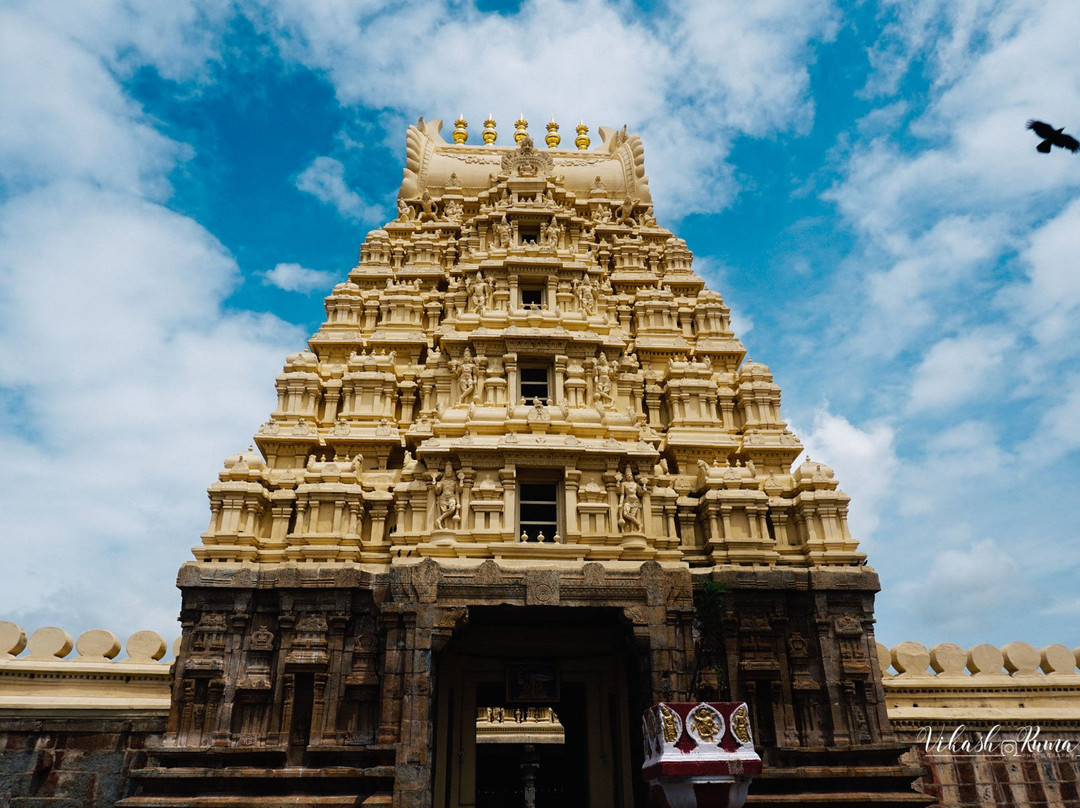 Sri Ranganathaswamy Temple景点图片