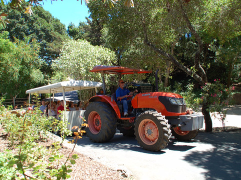 Leone Wine Tours-圣罗莎必去景点
