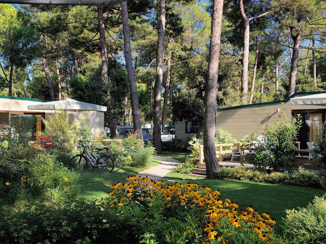 Camping Village Dei Fiori