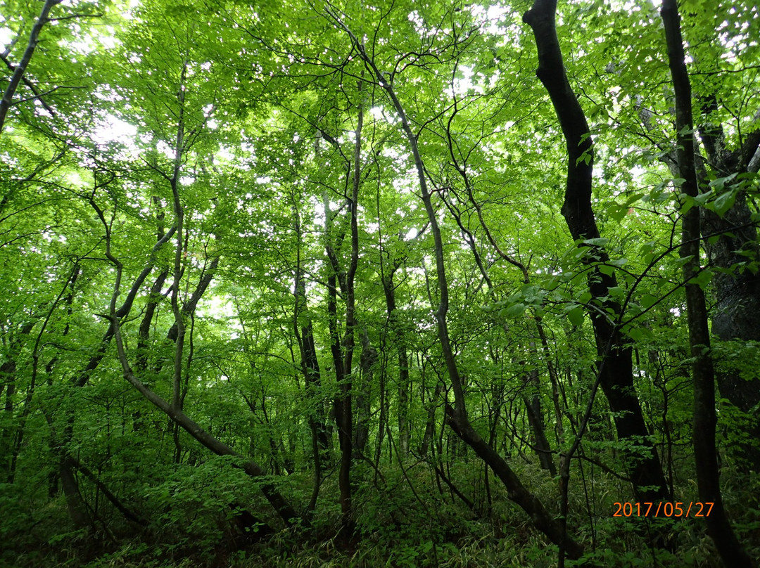Nasu Heisei no Mori-那须町必去景点