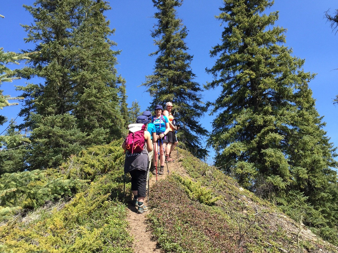 Bergeron Falls-Tumbler Ridge必去景点