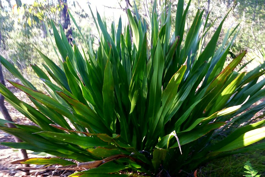 Heathcote National Park-Heathcote必去景点