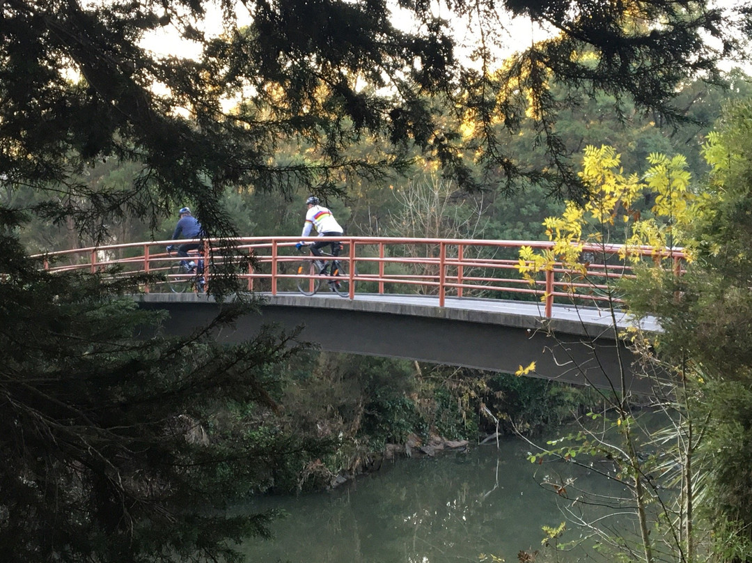 Gardiner's Creek Trail-Malvern必去景点