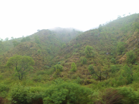 Quebrada de la Cebila-San Fernando del Valle de Catamarca必去景点