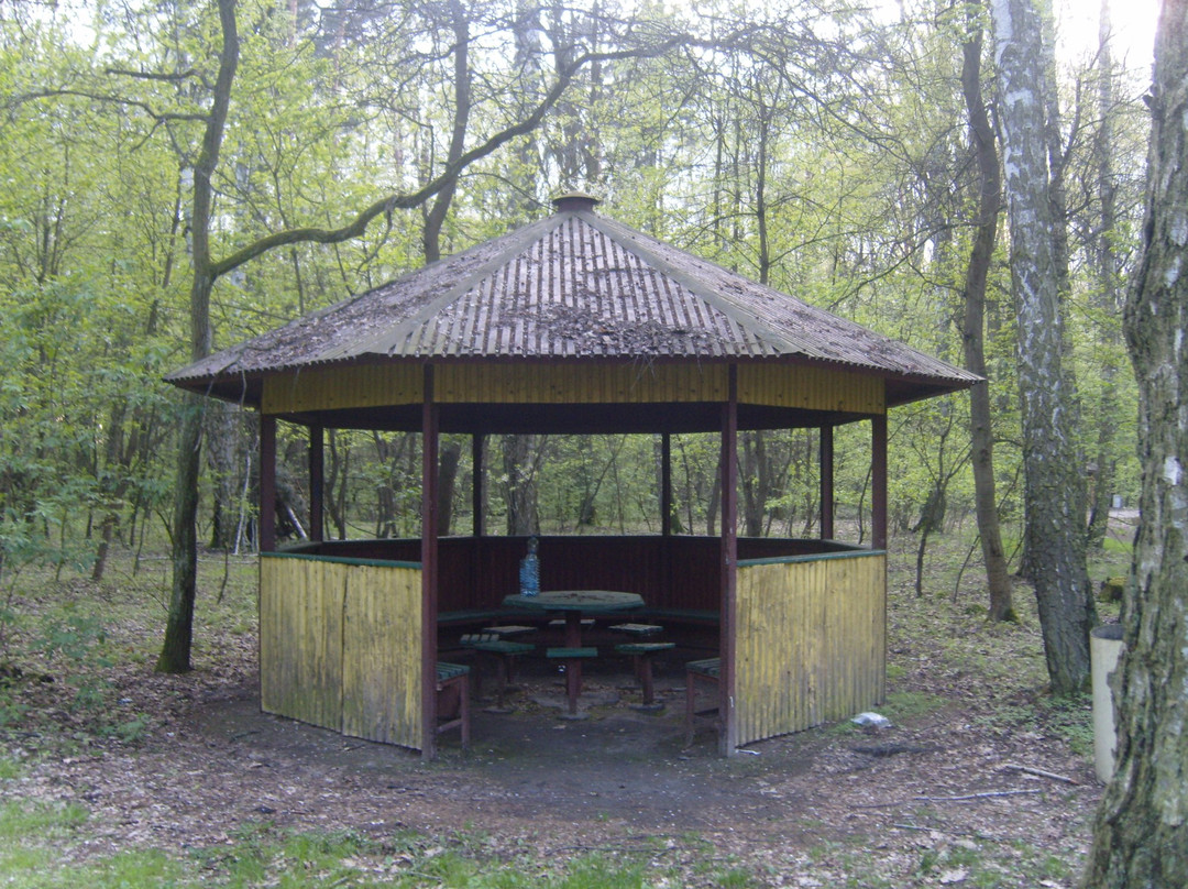 Culture Park in Powsin-华沙必去景点