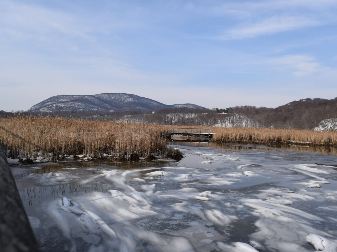 Constitution Marsh Audubon Center and Sanctuary景点图片